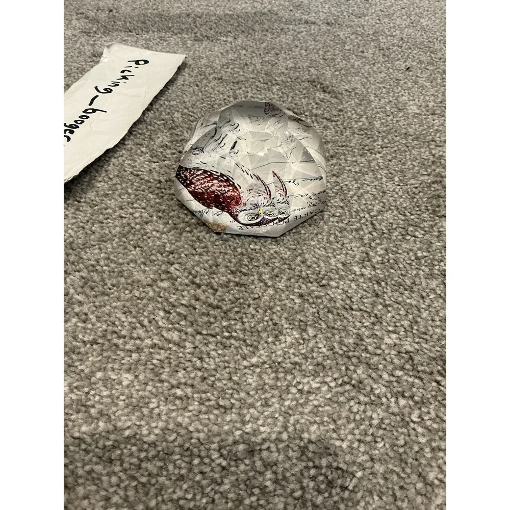 Octagon Faceted Shaped Paperweight With Owl Inside